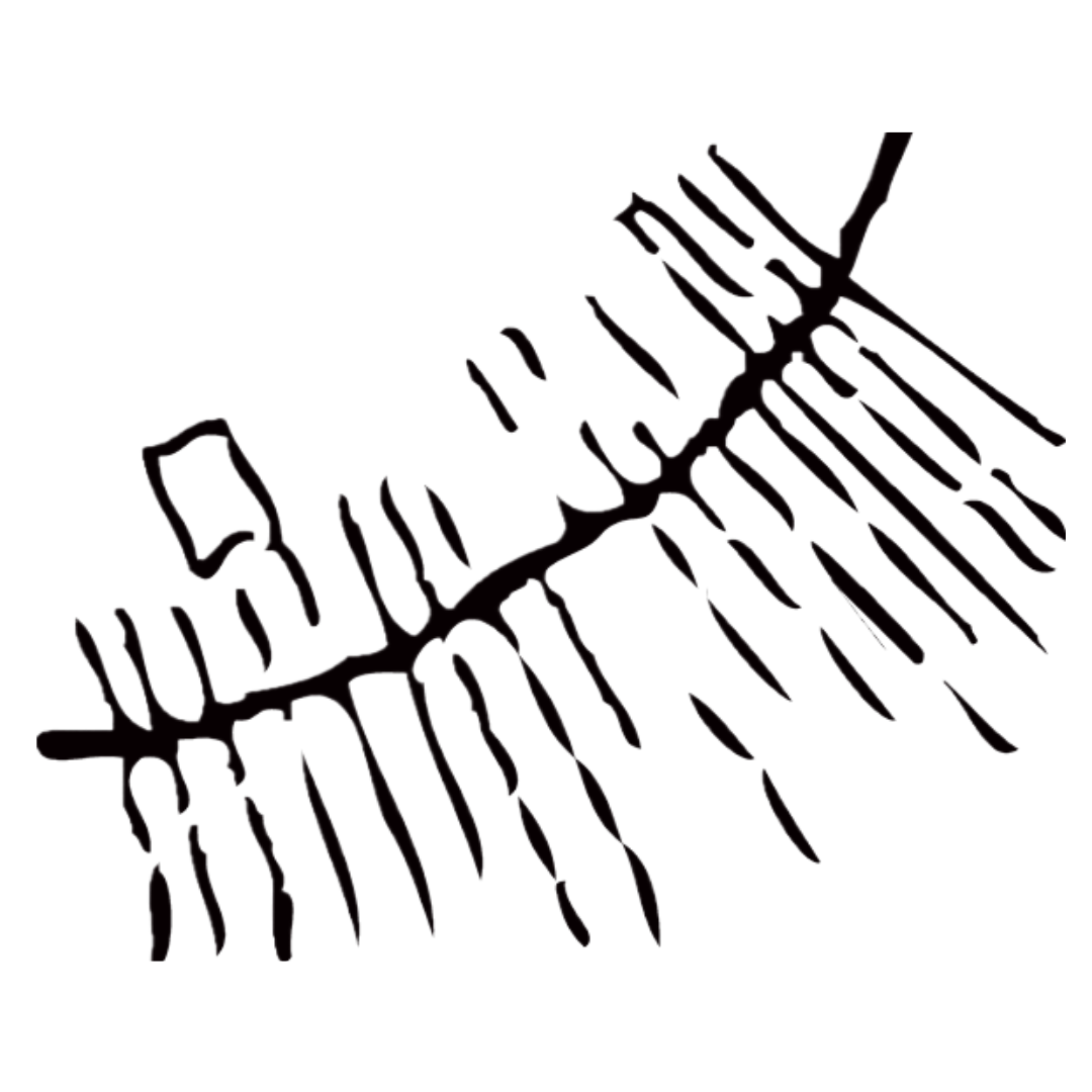 The Gabii Project